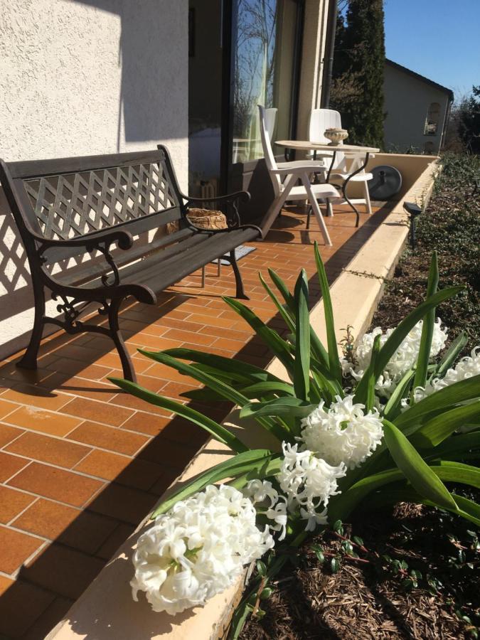 Exklusives Apartment In Bad Saeckingen Fuer 2 Person Exterior photo